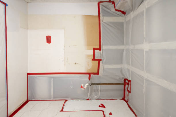 Best Mold Remediation for Healthcare Facilities  in Clarkton, MO