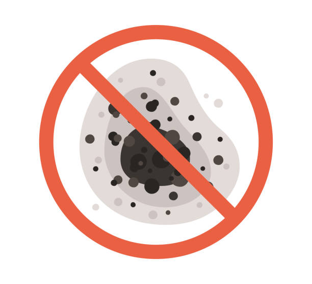 Best Airborne Mold Testing  in Clarkton, MO