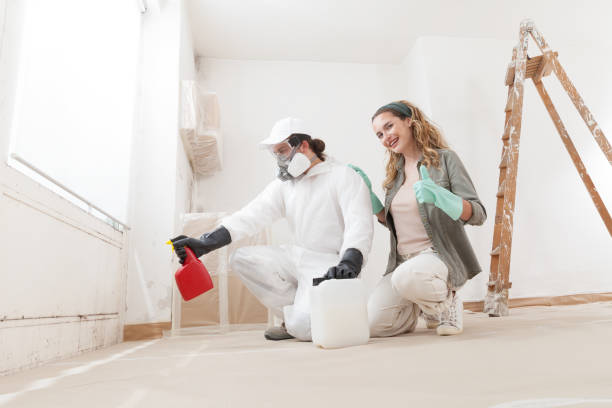 Professional Mold Removal in Clarkton, MO