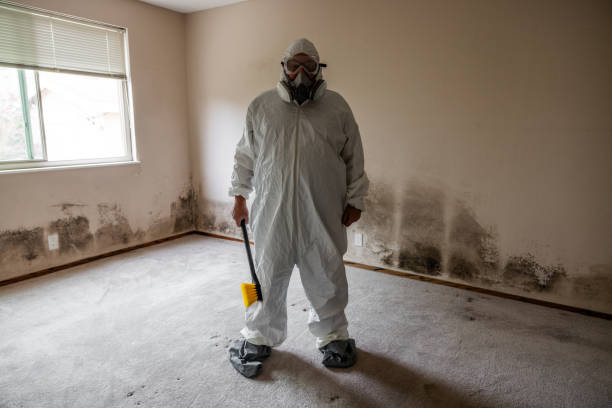 Best Asbestos and Lead Testing During Mold Inspection  in Clarkton, MO